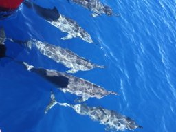 Visite de Célyne et Faf